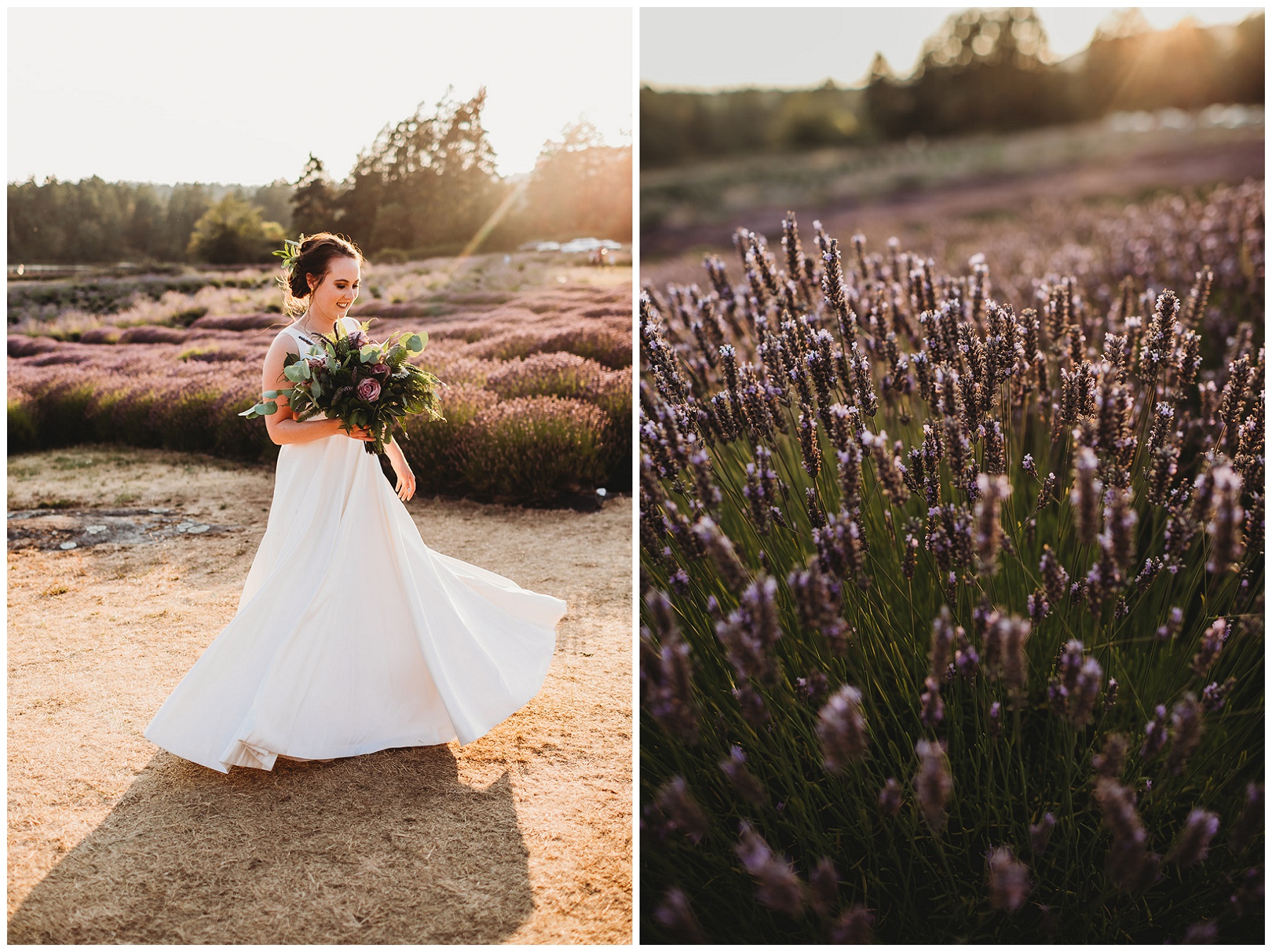 bridal portraits in lavender field