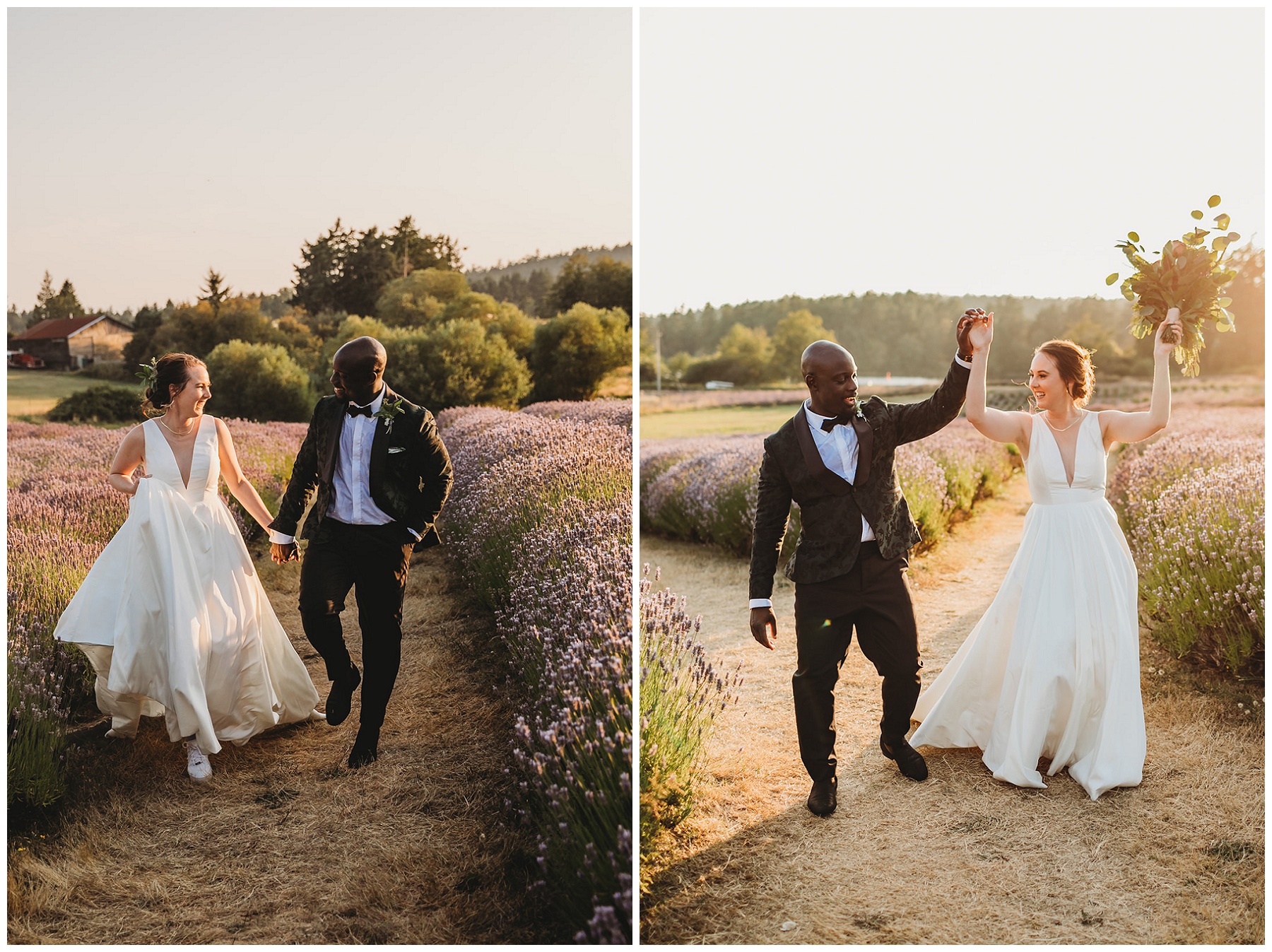 bride and groom portraits in lavender field 