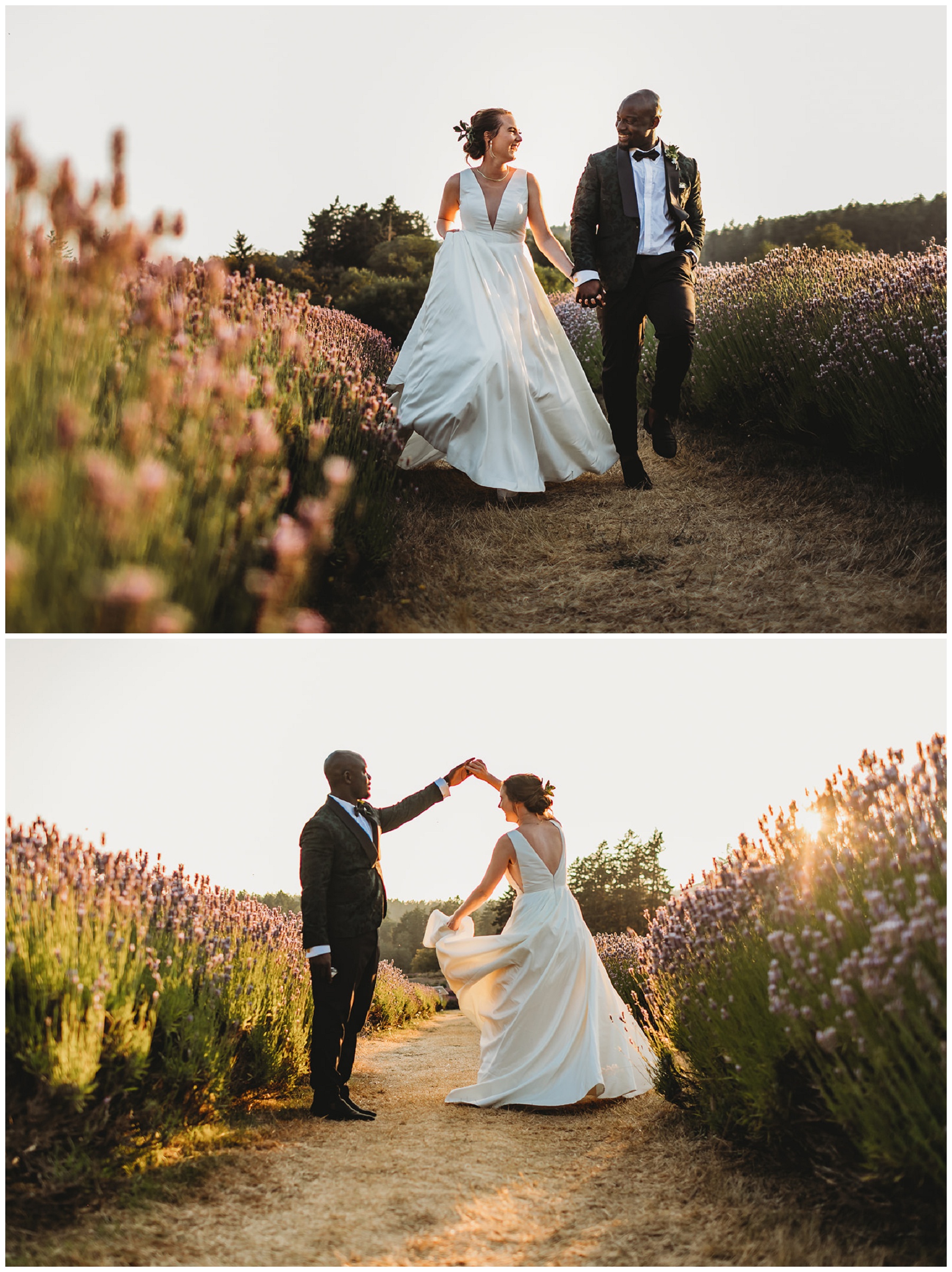 bride and groom portraits in lavender field 